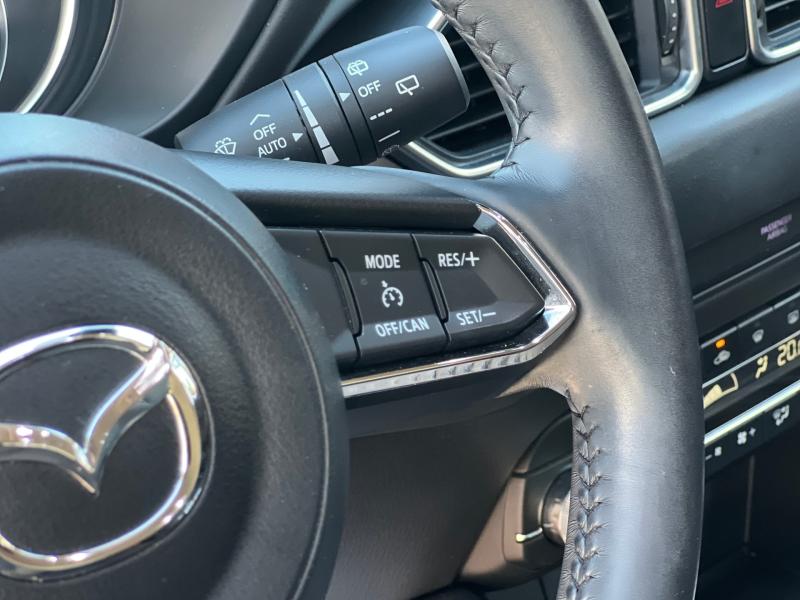 Car Thumb