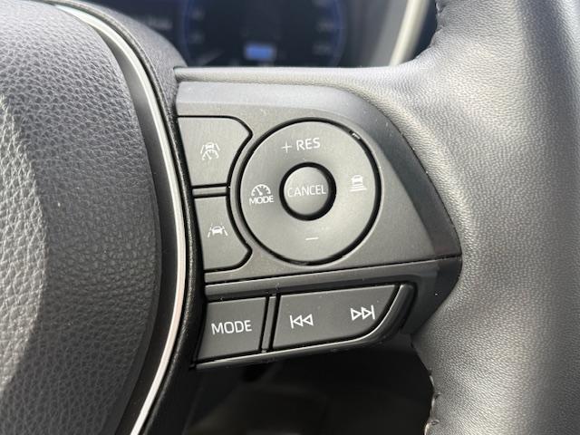 Car Thumb